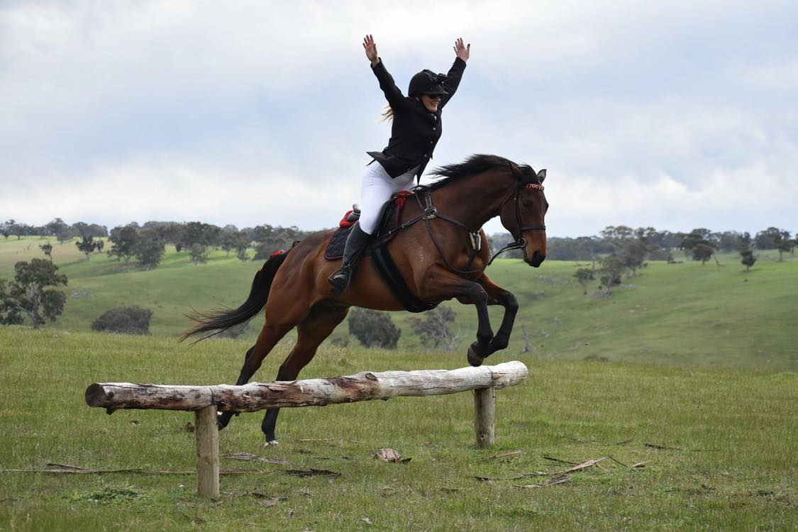 Kellie Summers Jumping with Ocean, Equestrian Hunting, Strathalbyn Hunt Club